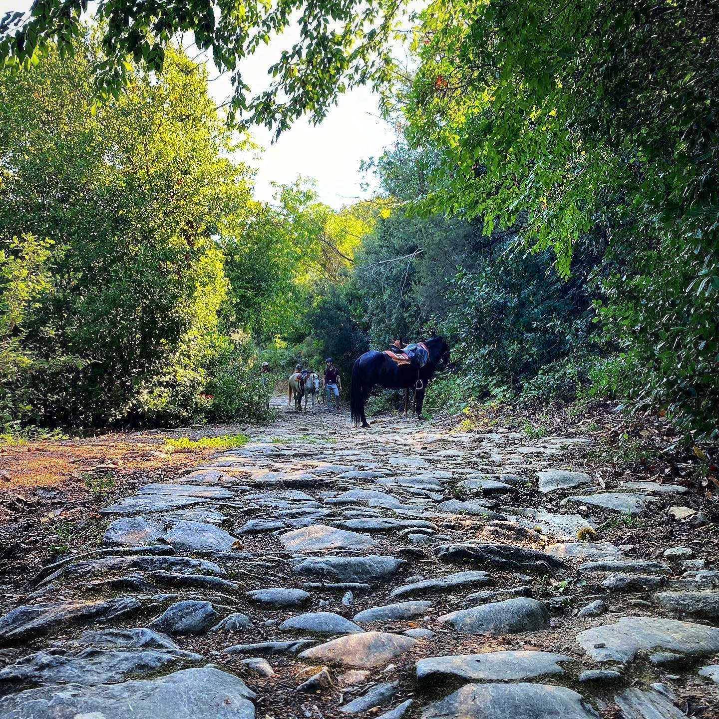 Pelion: A 360° Guide to Adventure Where the Mountain Meets the Sea | Aeolos