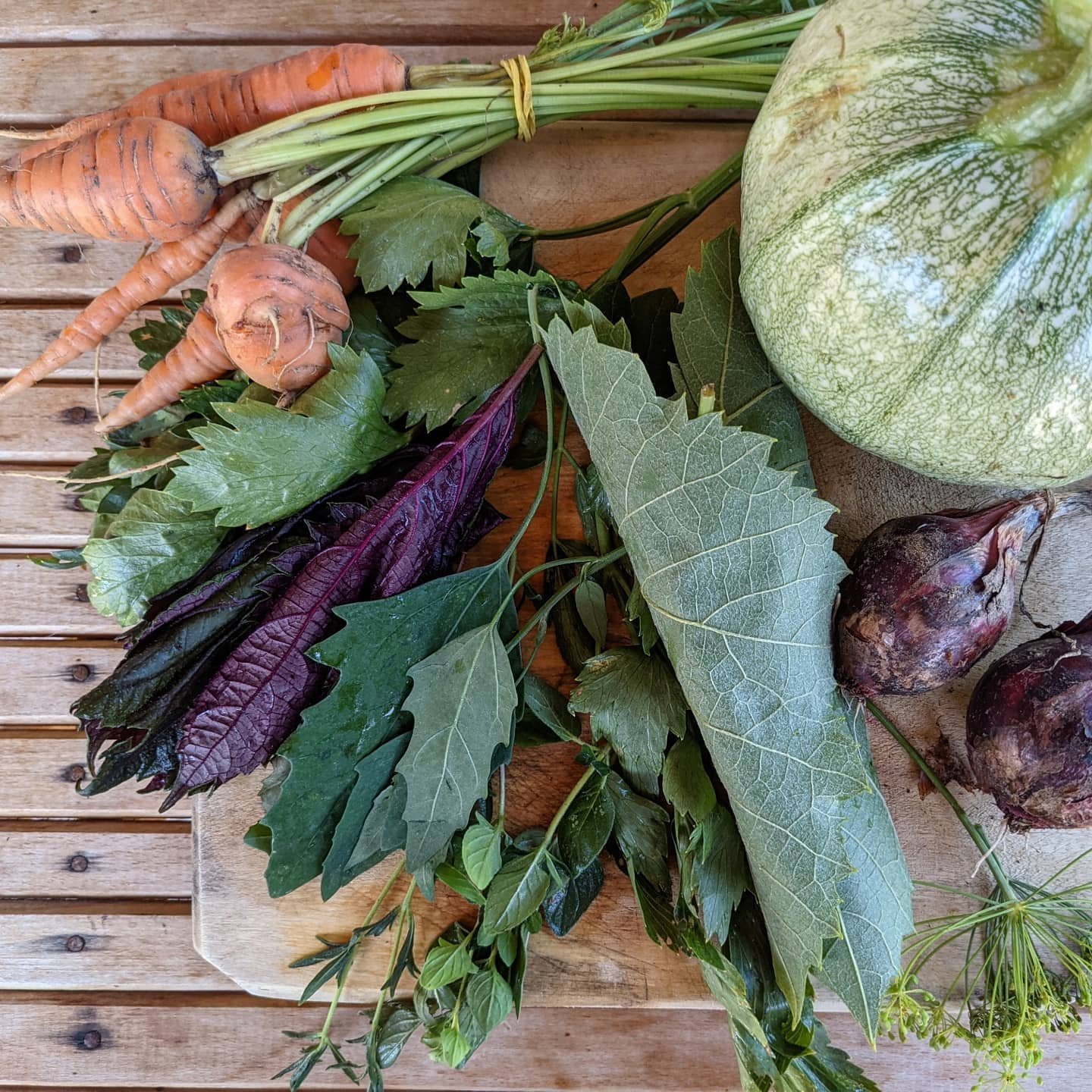 Pelion in March: The Symphony of the Orchards and Wild Herbs | Aeolos